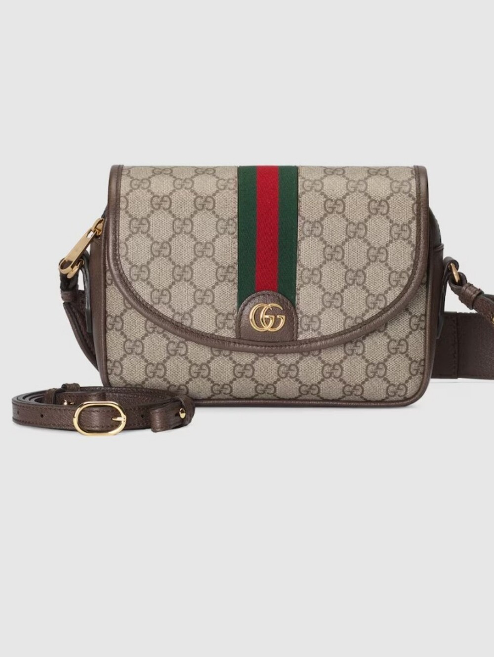 Supre Canvas Crossbody Bag in Beige/Brown w/Web Stripe - Picture 5 of 12